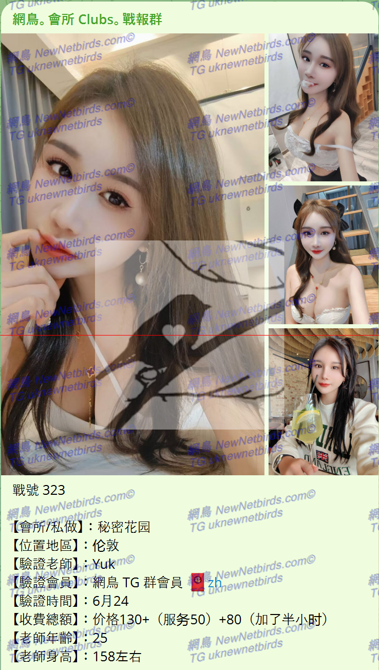 戰號 323 1.png